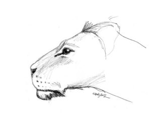 eppli drawing animals | kresba zvieratá