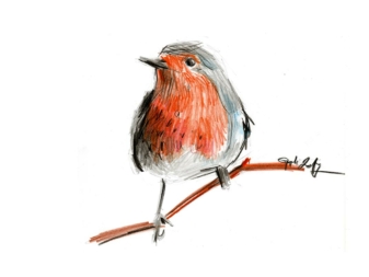 eppli drawing birds | kresba vtáky